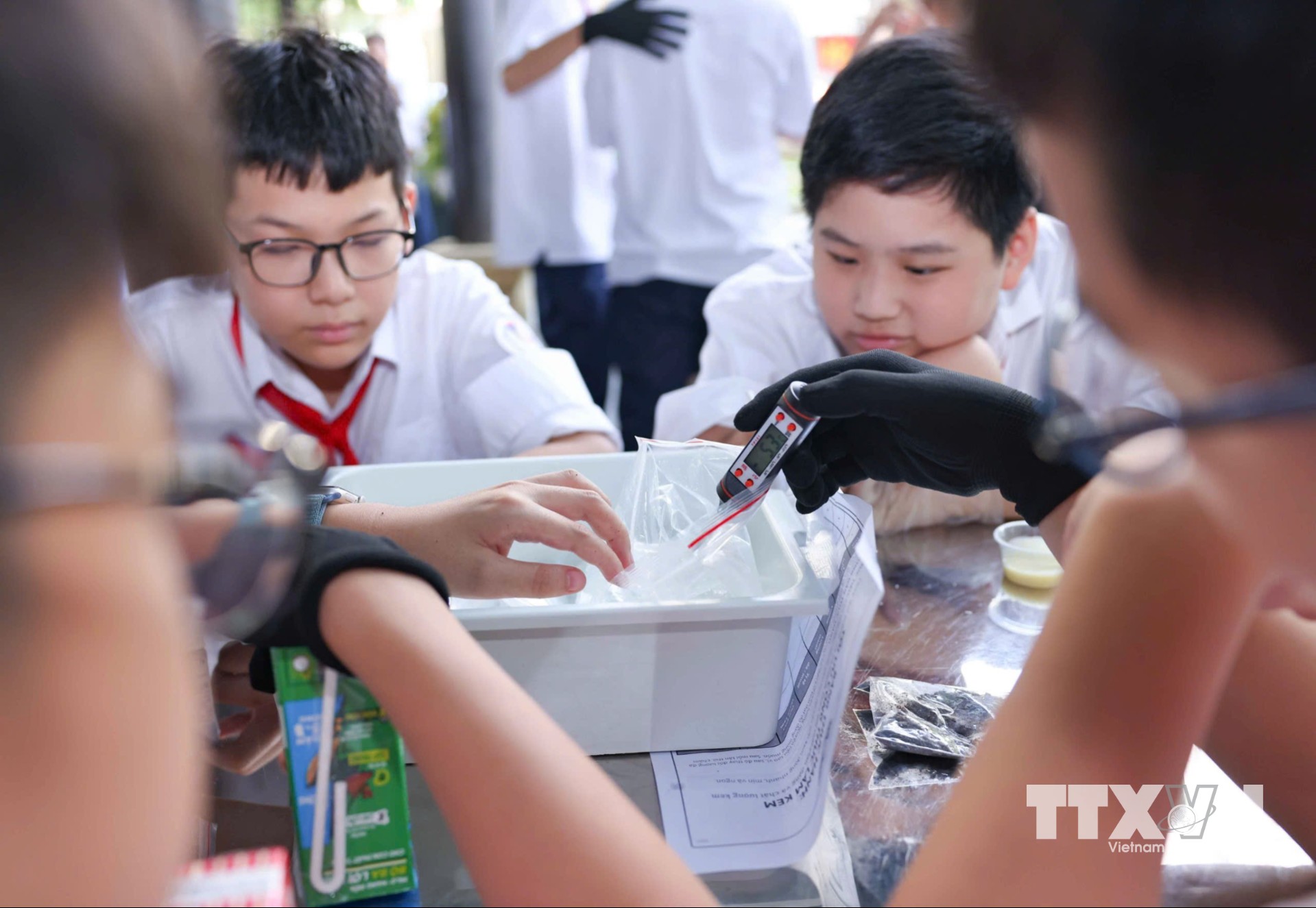 Học sinh tập trung vào thực nghiệm khoa học với hoạt động “Làm kem không cần tủ đông”, theo dõi sự thay đổi nhiệt độ theo thời gian và thử thách thiết kế giải pháp “Giữ kem lâu tan”. (Trong ảnh: Thanh Tùng/TTXVN)